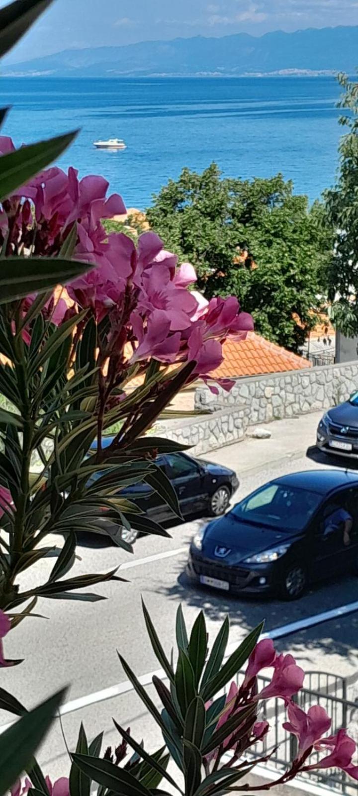 סווטי יוראי Apartment Danica מראה חיצוני תמונה